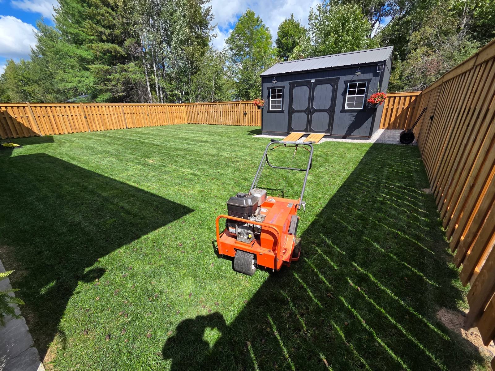 Professional lawn care results in North Bay