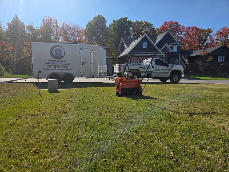Aeration & Overseeding